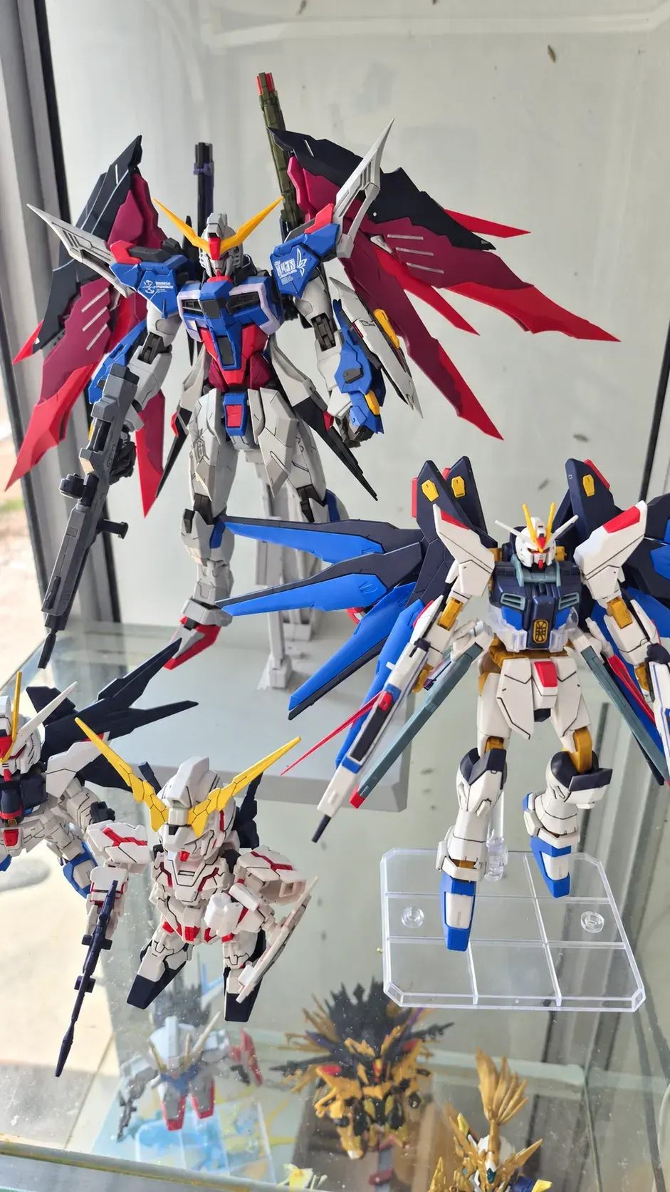 Destiny and Strike Freedom Gundam kits in a glass cabinet